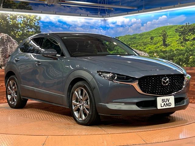 CX-30 X Lパッケージ 純正SDナビ 全周囲カメラ BOSEサウンド 衝突被害軽減システム レーダークルーズ 禁煙車 電動リアゲート レザーシート パワーシート ドラレコ コーナーセンサー スマートキー LEDヘッド(14枚目)