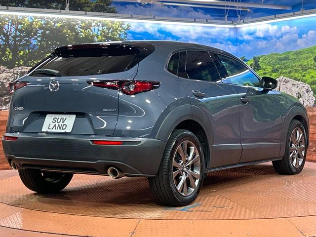 CX-30 X Lパッケージ 純正SDナビ 全周囲カメラ BOSEサウンド 衝突被害軽減システム レーダークルーズ 禁煙車 電動リアゲート レザーシート パワーシート ドラレコ コーナーセンサー スマートキー LEDヘッド(15枚目)