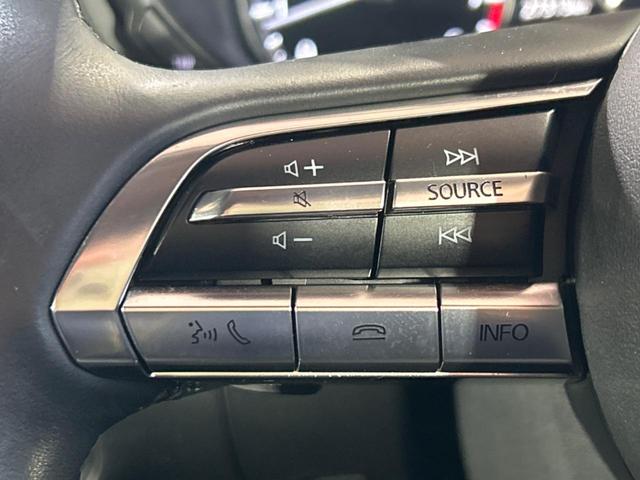 CX-30 X Lパッケージ 純正SDナビ 全周囲カメラ BOSEサウンド 衝突被害軽減システム レーダークルーズ 禁煙車 電動リアゲート レザーシート パワーシート ドラレコ コーナーセンサー スマートキー LEDヘッド(33枚目)