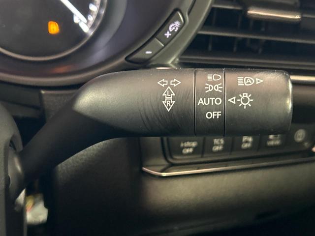 CX-30 X Lパッケージ 純正SDナビ 全周囲カメラ BOSEサウンド 衝突被害軽減システム レーダークルーズ 禁煙車 電動リアゲート レザーシート パワーシート ドラレコ コーナーセンサー スマートキー LEDヘッド(34枚目)