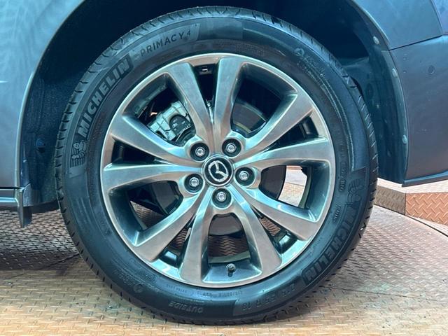 CX-30 X Lパッケージ 純正SDナビ 全周囲カメラ BOSEサウンド 衝突被害軽減システム レーダークルーズ 禁煙車 電動リアゲート レザーシート パワーシート ドラレコ コーナーセンサー スマートキー LEDヘッド(65枚目)