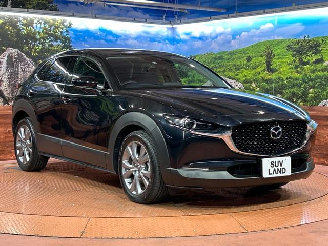 CX-30 20S プロアクティブ ツーリングセレクション 純正8型SDナビ 全周囲カメラ 衝突被害軽減システム レーダークルーズ 禁煙車 電動リアゲート パワーシート ドラレコ コーナーセンサー スマートキー LEDヘッド ビルトインETC オートハイビーム(16枚目)