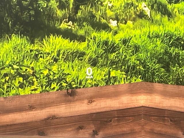 CX-30 20S プロアクティブ ツーリングセレクション 純正8型SDナビ 全周囲カメラ 衝突被害軽減システム レーダークルーズ 禁煙車 電動リアゲート パワーシート ドラレコ コーナーセンサー スマートキー LEDヘッド ビルトインETC オートハイビーム(28枚目)