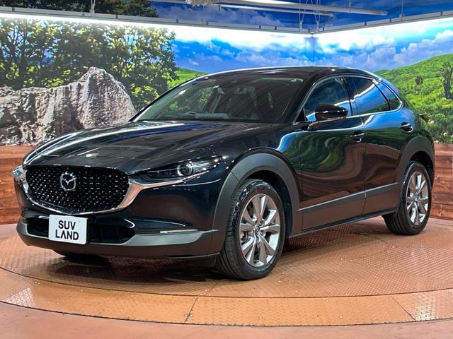 CX-30 20S プロアクティブ ツーリングセレクション 純正8型SDナビ 全周囲カメラ 衝突被害軽減システム レーダークルーズ 禁煙車 電動リアゲート パワーシート ドラレコ コーナーセンサー スマートキー LEDヘッド ビルトインETC オートハイビーム(69枚目)
