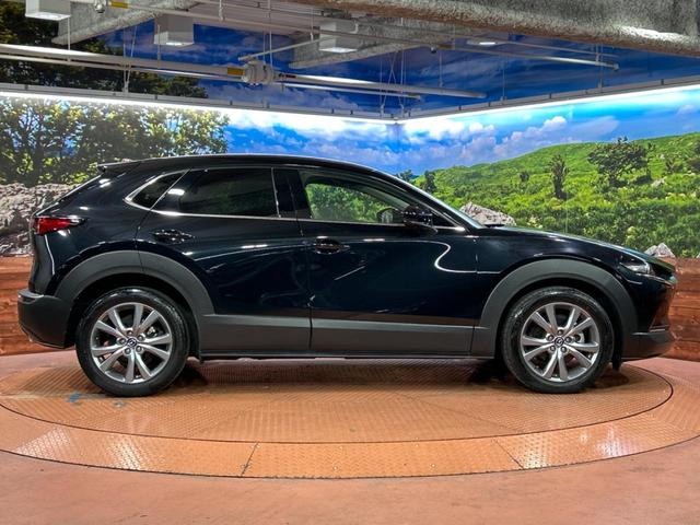 CX-30 20S プロアクティブ ツーリングセレクション 純正8型SDナビ 全周囲カメラ 衝突被害軽減システム レーダークルーズ 禁煙車 電動リアゲート パワーシート ドラレコ コーナーセンサー スマートキー LEDヘッド ビルトインETC オートハイビーム(72枚目)