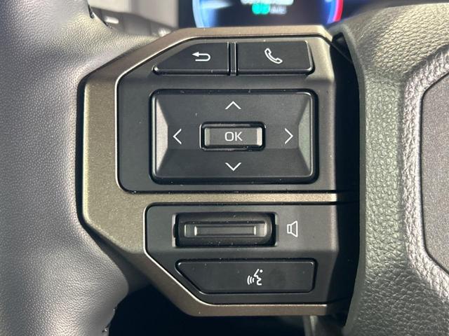 ランドクルーザー250 ZX サンルーフ 7人乗り JBLサウンド 純正12.3インチディスプレイオーディオ 全周囲カメラ レーダークルーズ デジタルインナーミラー シートベンチレーション パワーバックドア LEDヘッドライト(47枚目)