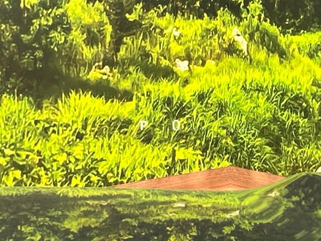 ランドクルーザー250 ZX サンルーフ 7人乗り JBLサウンド 純正12.3インチディスプレイオーディオ 全周囲カメラ レーダークルーズ デジタルインナーミラー シートベンチレーション パワーバックドア LEDヘッドライト(57枚目)