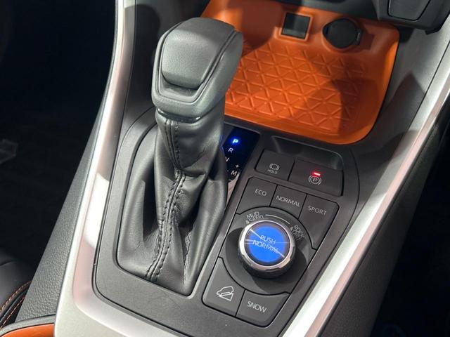 ＲＡＶ４ アドベンチャー　純正９型ナビ　バックカメラ　トヨタセーフティセンス　レーダークルーズ　ブラインドスポットモニター　禁煙車　パワーシート　ドラレコ　コーナーセンサー　スマートキー　ルーフレール　ＥＴＣ２．０（34枚目）