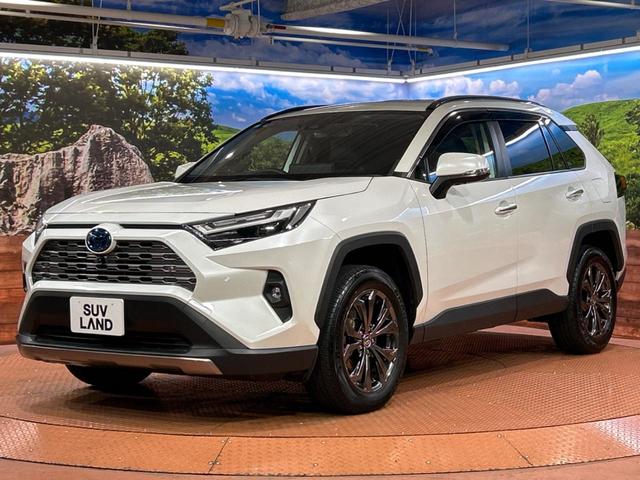 ＲＡＶ４ ハイブリッドＧ　４ＷＤ　純正１０．５型ナビ　バックカメラ　衝突被害軽減システム　レーダークルーズ　禁煙車　電動リアゲート　前席シートエアコン　パワーシート　ドラレコ　コーナーセンサー　スマートキー　ＬＥＤヘッド（64枚目）