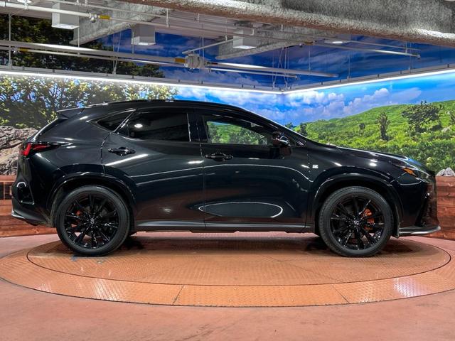 ＮＸ ＮＸ３５０ｈ　Ｆスポーツ　サンルーフ　純正１４型ナビ　全周囲カメラ　衝突被害軽減システム　レーダークルーズ　禁煙車　電動リアゲート　レザーシート　前席シートエアコン　ドラレコ　コーナーセンサー　ＥＴＣ２．０　ＬＥＤヘッドライト（61枚目）