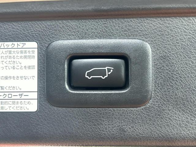 アルファード ２．５Ｓ　Ｃパッケージ　ツインムーンルーフ　フリップダウンモニター　純正ディスプレイオーディオ　バックカメラ　ブラインドスポットモニター　デジタルインナーミラー　レーダークルーズ　パワーバックドア　フルセグ（47枚目）