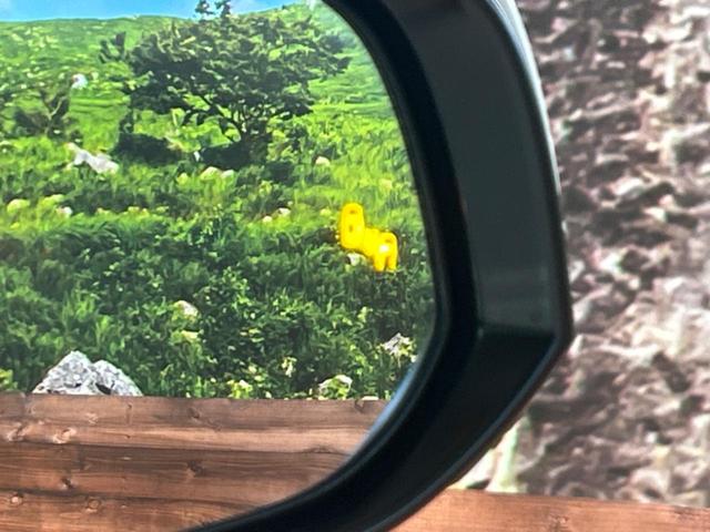 アルファード ２．５Ｓ　Ｃパッケージ　ツインムーンルーフ　フリップダウンモニター　純正ディスプレイオーディオ　バックカメラ　ブラインドスポットモニター　デジタルインナーミラー　レーダークルーズ　パワーバックドア　フルセグ（67枚目）