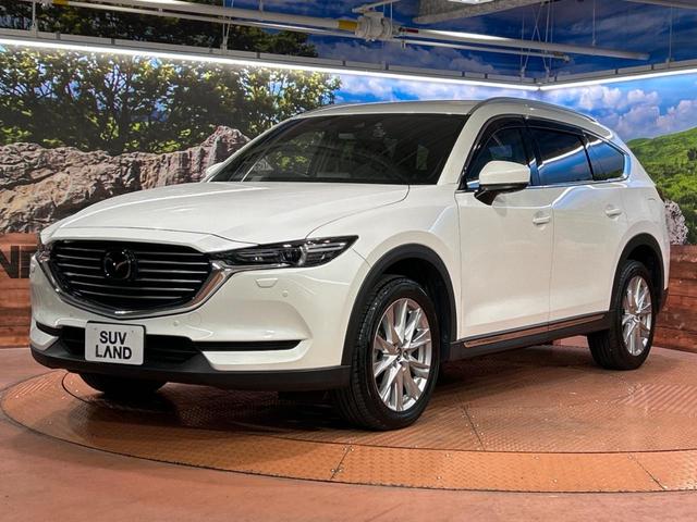 ＣＸ－８ ＸＤプロアクティブ　４ＷＤ　後席モニター　マツダコネクトナビ　全周囲カメラ　衝突被害軽減システム　レーダークルーズ　禁煙車　電動リアゲート　パワーシート　ドラレコ　コーナーセンサー　スマートキー　ＬＥＤヘッド（27枚目）