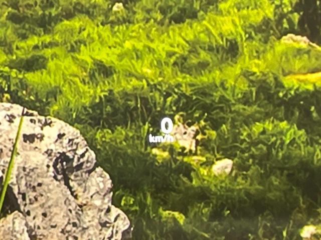 エクストレイル G e-4ORCE 4WD 純正12型ナビ 全周囲カメラ 衝突被害軽減装置 レーダークルーズ 禁煙車 電動リアゲート 100v電源 前席シートヒーター デジタルインナーミラー ヘッドアップディスプレイ パワーシート(27枚目)