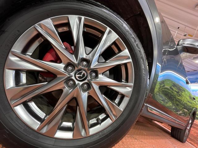 ＣＸ－８ ２５Ｓ　Ｌパッケージ　７人乗り　純正１０．２５型ナビ　サンルーフ　全周囲カメラ　ＢＯＳＥサウンド　衝突被害軽減システム　レーダークルーズ　禁煙車　レザーシート　前席シートエアコン　コーナーセンサー　　ＬＥＤヘッド　ＥＴＣ（14枚目）