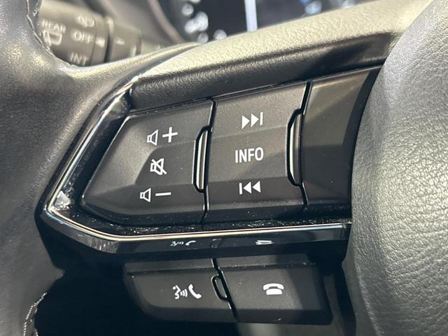 ＣＸ－８ ２５Ｓ　Ｌパッケージ　７人乗り　純正１０．２５型ナビ　サンルーフ　全周囲カメラ　ＢＯＳＥサウンド　衝突被害軽減システム　レーダークルーズ　禁煙車　レザーシート　前席シートエアコン　コーナーセンサー　　ＬＥＤヘッド　ＥＴＣ（68枚目）