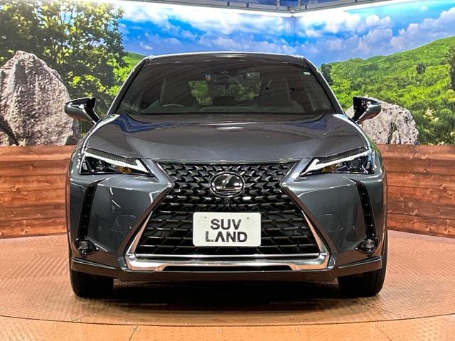 UX UX200 バージョンC 純正ナビ 全周囲カメラ 前席シートヒーター セーフティシステム レーダークルーズ ブラインドスポットモニター LEDヘッド パワーシート 純正17インチアルミ bluetooth接続 ドラレコ ETC(14枚目)