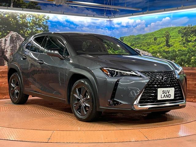 UX UX200 バージョンC 純正ナビ 全周囲カメラ 前席シートヒーター セーフティシステム レーダークルーズ ブラインドスポットモニター LEDヘッド パワーシート 純正17インチアルミ bluetooth接続 ドラレコ ETC(16枚目)