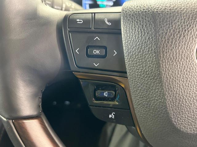 アルファードハイブリッド Ｚ　左右独立ムーンルーフ　フリップダウンモニター　純正１４インチディスプレイオーディオ　全周囲カメラ　トヨタチームメイト　デジタルインナーミラー　パワーバックドア　ブラインドスポットモニター（29枚目）