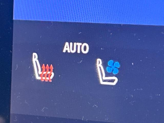 アルファードハイブリッド Ｚ　左右独立ムーンルーフ　フリップダウンモニター　純正１４インチディスプレイオーディオ　全周囲カメラ　トヨタチームメイト　デジタルインナーミラー　パワーバックドア　ブラインドスポットモニター（34枚目）