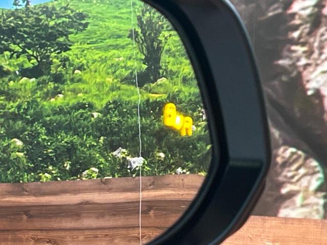 アルファードハイブリッド Ｚ　左右独立ムーンルーフ　フリップダウンモニター　純正１４インチディスプレイオーディオ　全周囲カメラ　トヨタチームメイト　デジタルインナーミラー　パワーバックドア　ブラインドスポットモニター（67枚目）