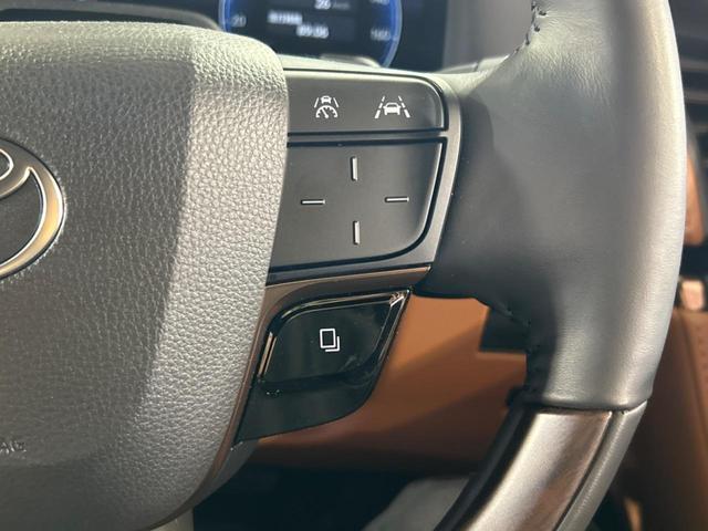 ヴェルファイアハイブリッド Ｚ　プレミア　ガラスルーフ　両側電動ドア　後席モニター　全周囲カメラ　１００Ｖ電源　衝突被害軽減システム　レーダークルーズ　禁煙車　電動リアゲート　レザーシート　前席シートエアコン　リアシートエアコン　ドラレコ（28枚目）