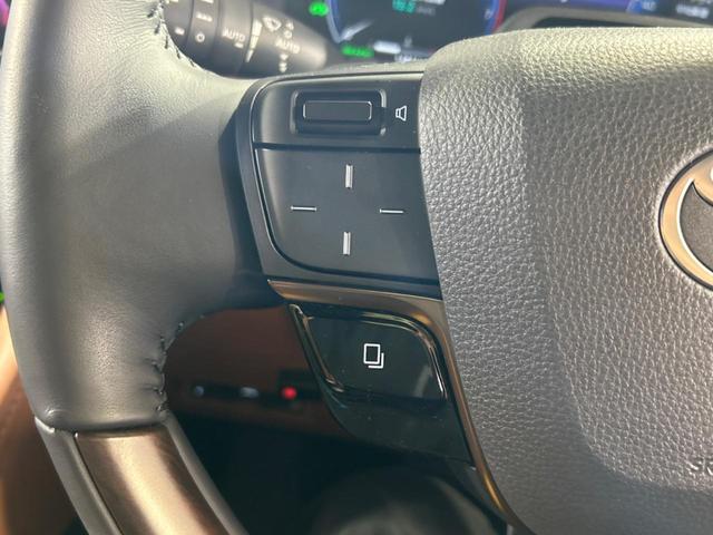 ヴェルファイアハイブリッド Ｚ　プレミア　ガラスルーフ　両側電動ドア　後席モニター　全周囲カメラ　１００Ｖ電源　衝突被害軽減システム　レーダークルーズ　禁煙車　電動リアゲート　レザーシート　前席シートエアコン　リアシートエアコン　ドラレコ（29枚目）