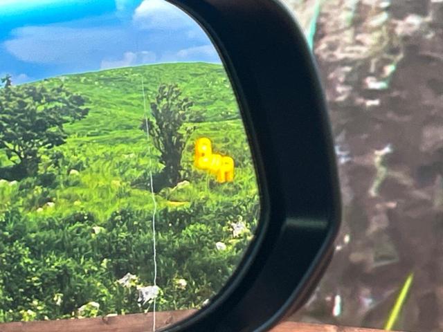 ヴェルファイアハイブリッド Ｚ　プレミア　ガラスルーフ　両側電動ドア　後席モニター　全周囲カメラ　１００Ｖ電源　衝突被害軽減システム　レーダークルーズ　禁煙車　電動リアゲート　レザーシート　前席シートエアコン　リアシートエアコン　ドラレコ（69枚目）