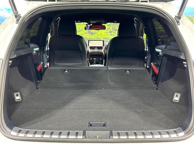 ＮＸ ＮＸ３００　Ｆスポーツ　純正ＳＤナビ　バックカメラ　衝突被害軽減システム　レーダークルーズ　禁煙車　電動リアゲート　レザーシート　前席シートエアコン　ドラレコ　コーナーセンサー　スマートキー　ＬＥＤヘッド　ＥＴＣ２．０（10枚目）