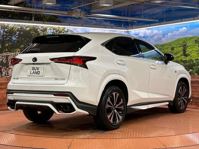 ＮＸ ＮＸ３００　Ｆスポーツ　純正ＳＤナビ　バックカメラ　衝突被害軽減システム　レーダークルーズ　禁煙車　電動リアゲート　レザーシート　前席シートエアコン　ドラレコ　コーナーセンサー　スマートキー　ＬＥＤヘッド　ＥＴＣ２．０（17枚目）