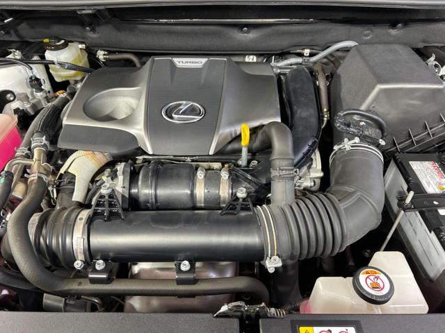 ＮＸ ＮＸ３００　Ｆスポーツ　純正ＳＤナビ　バックカメラ　衝突被害軽減システム　レーダークルーズ　禁煙車　電動リアゲート　レザーシート　前席シートエアコン　ドラレコ　コーナーセンサー　スマートキー　ＬＥＤヘッド　ＥＴＣ２．０（18枚目）