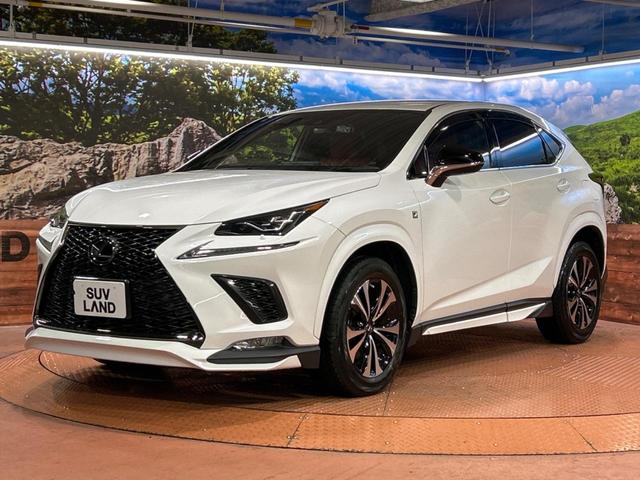 ＮＸ ＮＸ３００　Ｆスポーツ　純正ＳＤナビ　バックカメラ　衝突被害軽減システム　レーダークルーズ　禁煙車　電動リアゲート　レザーシート　前席シートエアコン　ドラレコ　コーナーセンサー　スマートキー　ＬＥＤヘッド　ＥＴＣ２．０（21枚目）