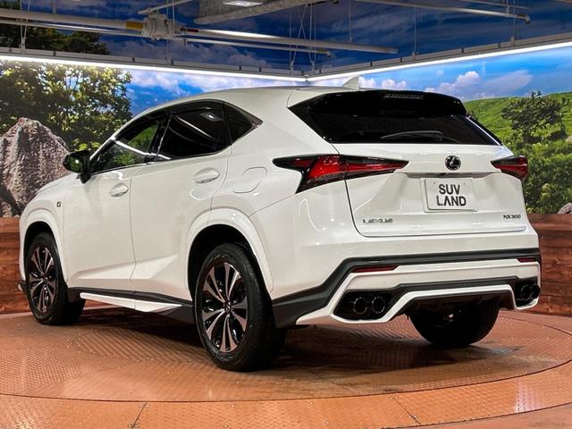 ＮＸ ＮＸ３００　Ｆスポーツ　純正ＳＤナビ　バックカメラ　衝突被害軽減システム　レーダークルーズ　禁煙車　電動リアゲート　レザーシート　前席シートエアコン　ドラレコ　コーナーセンサー　スマートキー　ＬＥＤヘッド　ＥＴＣ２．０（22枚目）