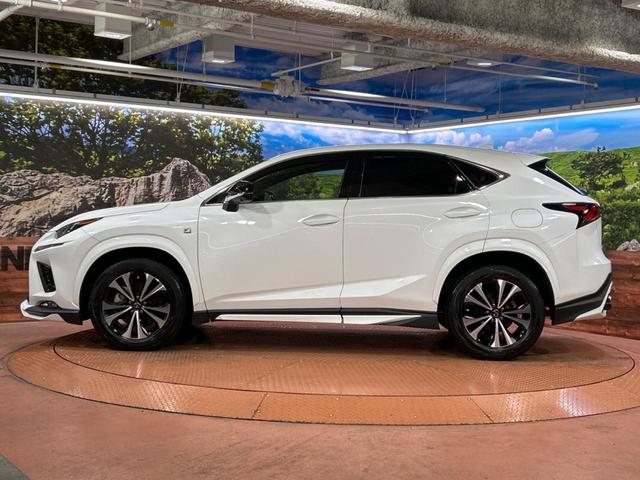 ＮＸ ＮＸ３００　Ｆスポーツ　純正ＳＤナビ　バックカメラ　衝突被害軽減システム　レーダークルーズ　禁煙車　電動リアゲート　レザーシート　前席シートエアコン　ドラレコ　コーナーセンサー　スマートキー　ＬＥＤヘッド　ＥＴＣ２．０（23枚目）