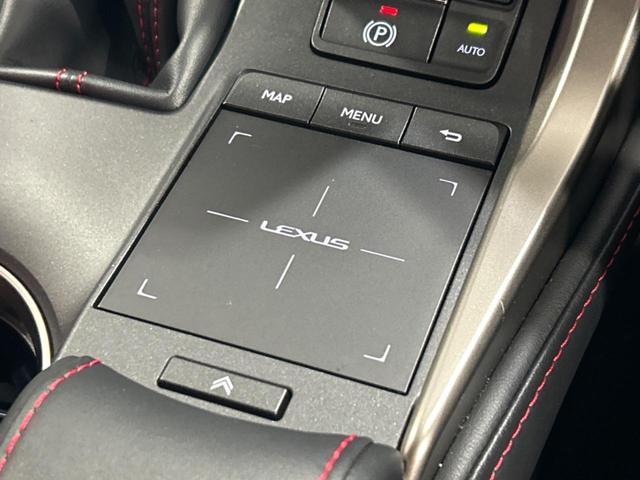 ＮＸ ＮＸ３００　Ｆスポーツ　純正ＳＤナビ　バックカメラ　衝突被害軽減システム　レーダークルーズ　禁煙車　電動リアゲート　レザーシート　前席シートエアコン　ドラレコ　コーナーセンサー　スマートキー　ＬＥＤヘッド　ＥＴＣ２．０（46枚目）