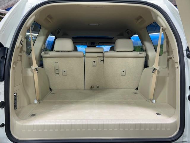 ランドクルーザープラド TZ-G サンルーフ 純正9インチナビ付ディスプレイオーディオ 全周囲カメラ レーダークルーズ ブラインドスポットモニター LEDヘッドライト ベージュ革シート シートベンチレーション ETC(10枚目)