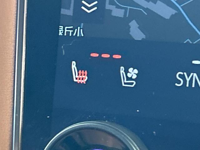 ヴェルファイアハイブリッド Z プレミア 左右独立ムーンルーフ モデリスタエアロ 14型ディスプレイオーディオ デジタルインナーミラー 両側電動スライドドア 全周囲カメラ 禁煙車 100V電源 トヨタセーフティセンス レーダークルーズ(34枚目)