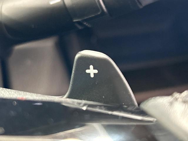 ステップワゴン ｅ：ＨＥＶスパーダ　プレミアムライン　純正１１インチナビ　ホンダセンシング　ブラインドスポットモニター　アダプティブクルーズコントロール　ＬＥＤヘッドライト　両側電動スライドドア　パワーバックドア　前席中列シートヒーター　ＥＴＣ（30枚目）