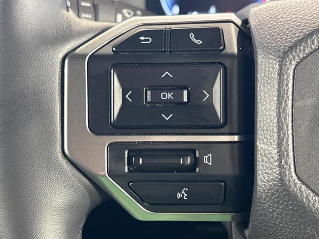 ランドクルーザー250 VX 禁煙車 サンルーフ JBLサウンドシステム付き純正12.3インチナビ パノラミックビューモニター レーダークルーズコントロール ブラインドスポットモニター センターデフロック パワーバックドア(36枚目)