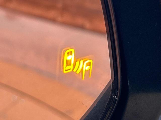 ＲＡＶ４ ハイブリッドＧ　禁煙車　サンルーフ　純正１０型ナビ　全周囲カメラ　衝突被害軽減装置　レーダークルーズ　パワーバックドア　１００Ｖ電源　前席シートエアコン　メモリ付きパワーシート　ブラインドスポットモニター　ドラレコ（32枚目）