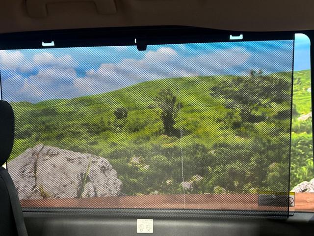 セレナ ハイウェイスターＶ　登録済み未使用車　メーカーオプション１２型ナビ　全周囲カメラ　エマージェンシーブレーキ　プロパイロット　両側パワースライドドア　ブラインドスポットモニター　ＬＥＤヘッド　純正１６インチアルミ　ＥＴＣ（49枚目）