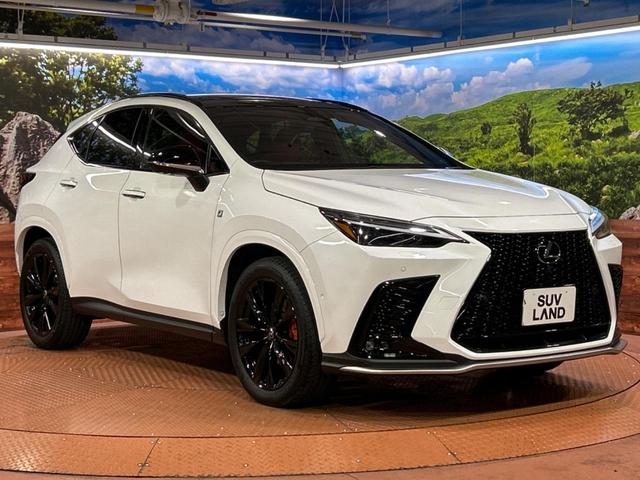ＮＸ ＮＸ３５０ｈ　Ｆスポーツ　禁煙車　サンルーフ　全周囲カメラ　衝突被害軽減システム　レーダークルーズ　電動リアゲート　赤レザーシート　全席シートヒーター　前席シートエアコン　ドラレコ　コーナーセンサー　スマートキー　１００Ｖ電源（16枚目）