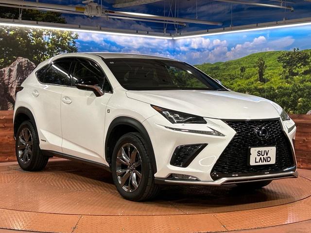 ＮＸ ＮＸ３００ｈ　Ｆスポーツ　禁煙車　純正１０．３インチナビ　パノラミックビューモニター　レーダークルーズコントロール　パワーバックドア　ブラインドスポットモニター　ステアリングヒーター　ＥＴＣ　パワーシート　コーナーセンサー（16枚目）