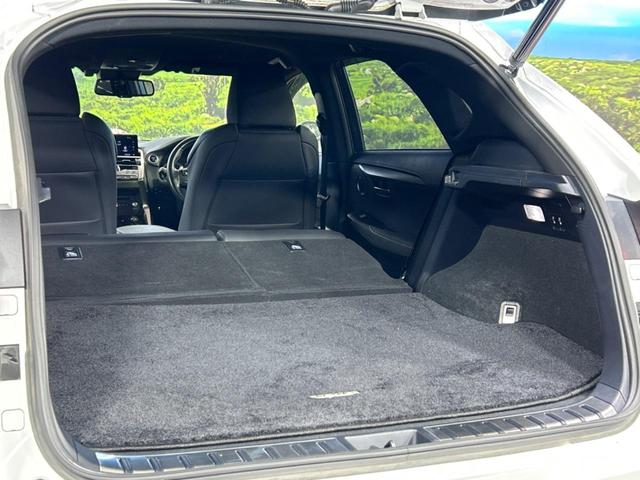 ＮＸ ＮＸ３００ｈ　Ｆスポーツ　禁煙車　純正１０．３インチナビ　パノラミックビューモニター　レーダークルーズコントロール　パワーバックドア　ブラインドスポットモニター　ステアリングヒーター　ＥＴＣ　パワーシート　コーナーセンサー（50枚目）