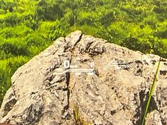 ڥإåɥåץǥץ쥤۸ߤ®٤ԾǥɽǱžΥ饹ơž桢򤺤餵ɬפʾǧǤΤǤȤäƤǰ¿ 7