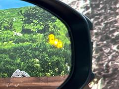 ڥ֥饤ɥݥåȥ˥桢ɥߥ顼λѤˤʤ䤹ս˸³֤᤹ܶȥɥߥ顼Υ󥺤˷ٹɽɥ饤Сմ򤷤Ƥޤ 6