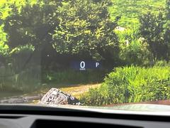 ڥإåɥåץǥץ쥤۸ߤ®٤ԾǥɽǱžΥ饹ơž桢򤺤餵ɬפʾǧǤΤǤȤäƤǰ¿ 6