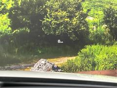 ڥ顼إåɥåץǥץ쥤۸ߤ®٤ԾǥɽǱžΥ饹ơ顼դǻǧ⤯ž򤺤餵ɬפʾǧǤΤǤȤäƤǰ¿ 5