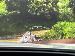 ڥ顼إåɥåץǥץ쥤۸ߤ®٤ԾǥɽǱžΥ饹ơ顼դǻǧ⤯ž򤺤餵ɬפʾǧǤΤǤȤäƤǰ¿ 7