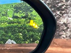 �ڥ֥饤��ɥ��ݥåȥ�˥����������桢�ɥ��ߥ顼�λ�Ѥˤʤ�䤹���ս�˸�³�֤��᤹ܶ��ȥ����ɥߥ顼�Υ�󥺤˷ٹ��ɽ�����ɥ饤�С������մ����򤷤Ƥ���ޤ��� 6